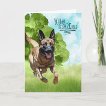 Gefeliciteerd met de BARKable Belgian Malinois Dog