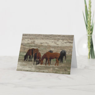 Gefeliciteerd met de nieuwe dierenarts Afstuderen  Kaart