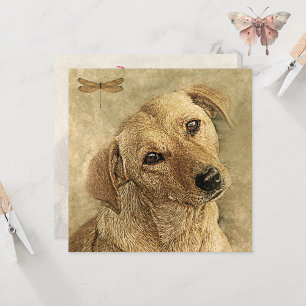 Gefeliciteerd met de nieuwe Kaart Pet Dog