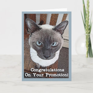 Gefeliciteerd met de promotie Funny Cat Kaart