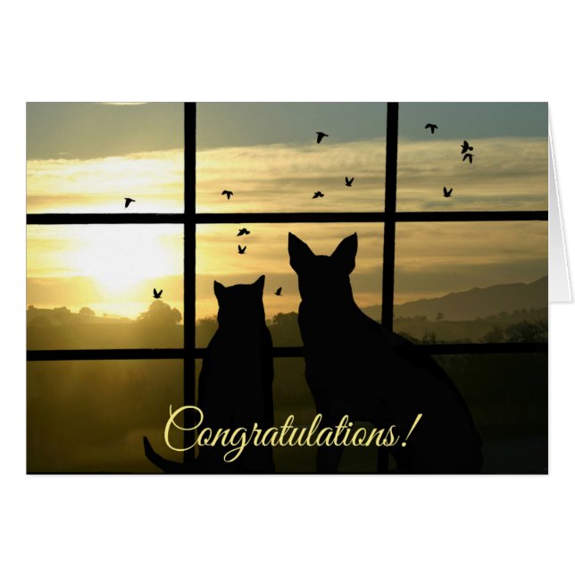 Gefeliciteerd met het feit dat je een dierenarts b (Voorkant Horizontaal)