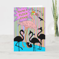 Gefeliciteerd met je Auditie Flamingo Song
