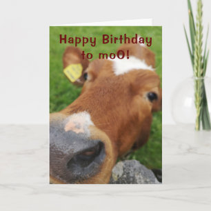 Gefeliciteerd met je moo wenskaart kaart