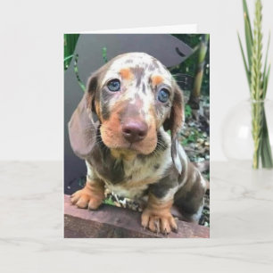 *GEFELICITEERD MET JE NIEUWE BAAN/ZAL JE MISSEN* KAART