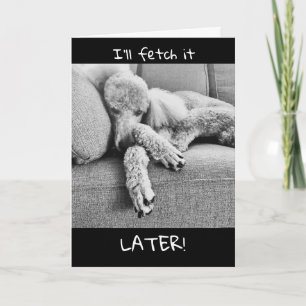 Gefeliciteerd met je pensioen met Lazy Poodle Kaart