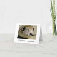 Gefeliciteerd met je scheiding...