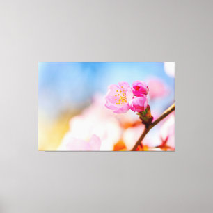 Gefeliciteerd met je verjaardag aan de kersenbloes canvas afdruk