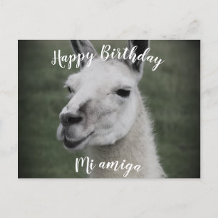 Gefeliciteerd met je verjaardag "Mi Amiga" LLama a Briefkaart