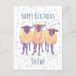Gefeliciteerd met je verjaardag Schaap Ansichtkaar Briefkaart
