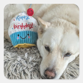 Gefeliciteerd met je verjaardag. vierkante sticker