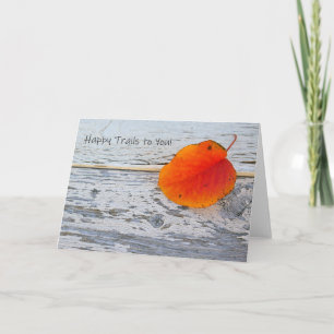 Gefeliciteerd met jullie kaart