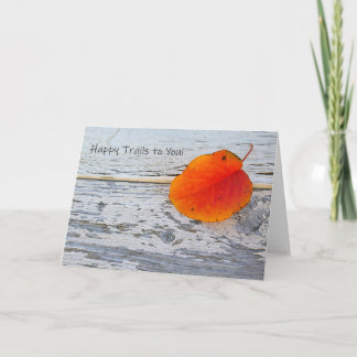 Gefeliciteerd met jullie kaart