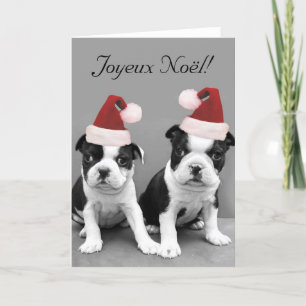 Gefeliciteerd met Kerstfeest Boston Terriers greet Feestdagen Kaart