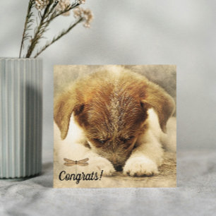 Gefeliciteerd met Nieuw Huisdier Hond Kaart