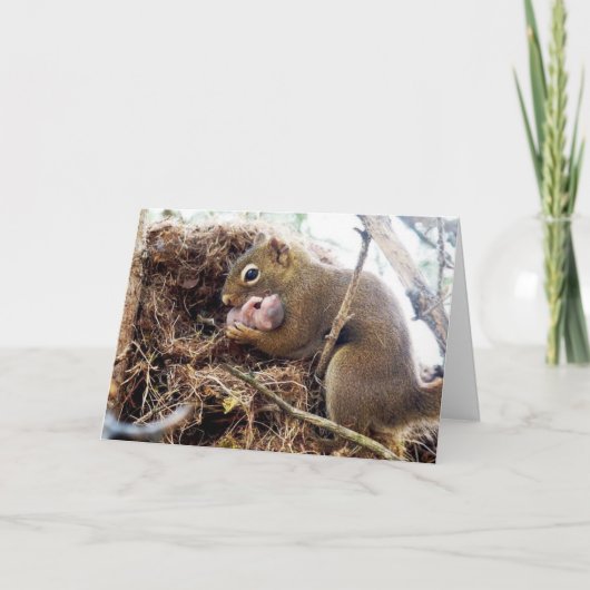 Gefeliciteerd met nieuwe mammie Baby-kaart Feestdagen Kaart (Voorkant)