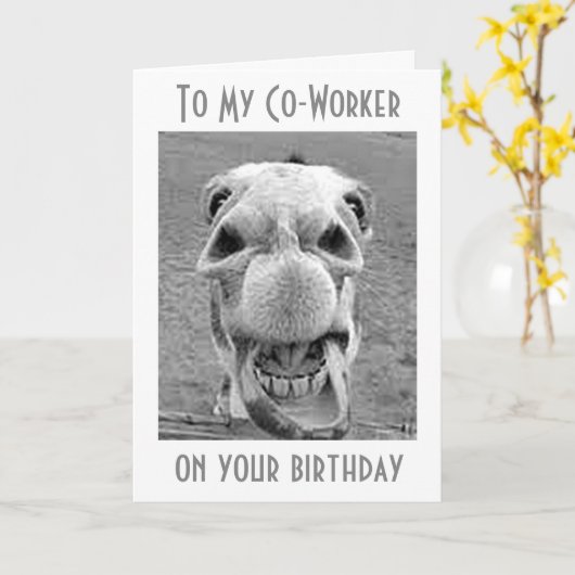 GEFELICITEERD MET "VERJAARDAG" AAN MIJN *COLLEGA* KAART (Gele Bloem)