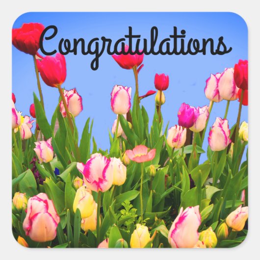 Gefeliciteerd met verschillende Tulpen #3 Stickers (Voorkant)