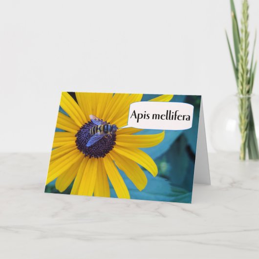 Gefeliciteerd met winnende bijen kaart (Voorkant)