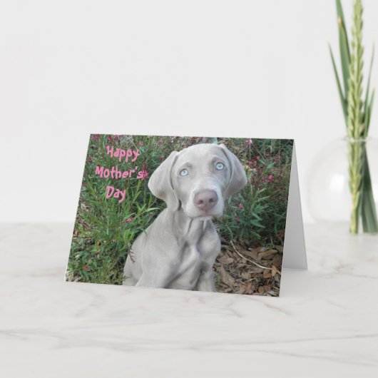 Gefeliciteerd Moederdag Van De Weimaraner Hond Kaa Kaart (Voorkant)