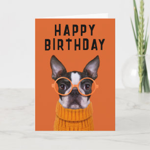 Gefeliciteerd   Oranje Boston Terrier Kaart