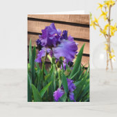 Gefeliciteerd | Paarse iris Kaart (Gele Bloem)