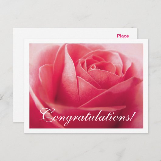 Gefeliciteerd Pink Rose Groet Briefkaart (Voorkant / Achterkant)