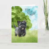 Gefeliciteerd reBARKable Affenpinscher Dog Kaart (Voorkant)