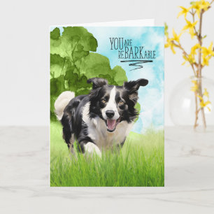 Gefeliciteerd reBARKable Border Collie Hond Kaart