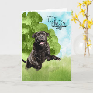 Gefeliciteerd reBARKable Cane Corso-hond Kaart