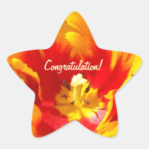 Gefeliciteerd! stickers Rode Gele Tulp Bloemen