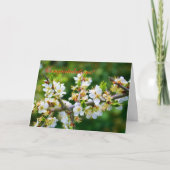 Gefeliciteerd - Sun-Dapped Spring Hawthorn Kaart (Voorkant)