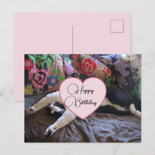 Gefeliciteerd Tuxedo Cat Katten Ansichtkaart Briefkaart