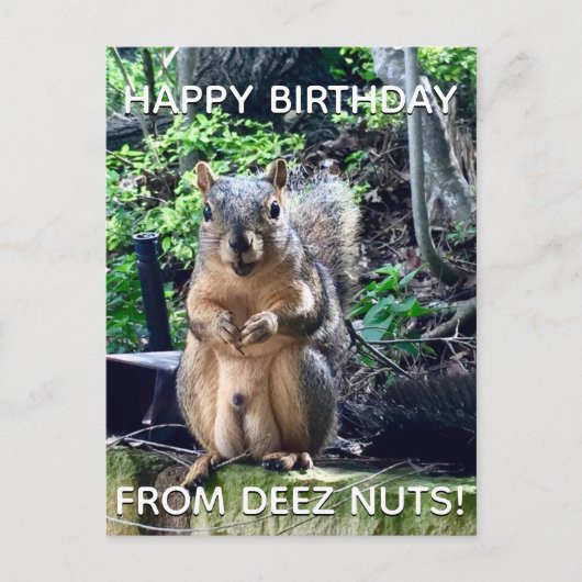 Gefeliciteerd van Deez Nuts Funny Squirrel-foto Briefkaart (Voorkant)