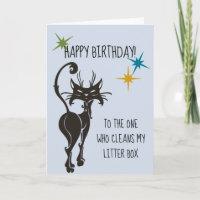 Gefeliciteerd Van Kat Grappig Schattig Humor