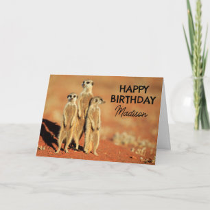 Gefeliciteerd verjaardag 3 stokstaartjes kaart
