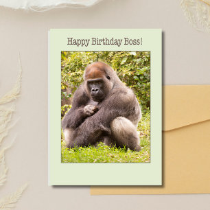 Gefeliciteerd Verjaardag Baas Gorilla In De Natuur Kaart
