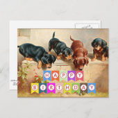 Gefeliciteerd verjaardag, Dachshond puppy's, Briefkaart (Voorkant / Achterkant)