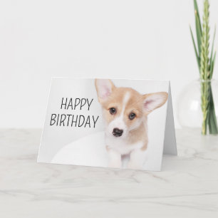 Gefeliciteerd verjaardag   Jonge Corgi Puppy Kaart
