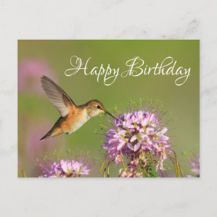 Gefeliciteerd Verjaardag Kolibrie Briefkaart