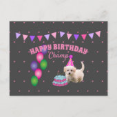 Gefeliciteerd verjaardag  lieve hond  met cake pol briefkaart (Voorkant)