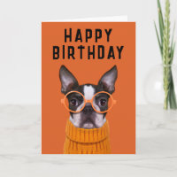 Gefeliciteerd verjaardag | Oranje Boston Terrier