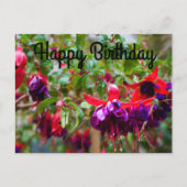 Gefeliciteerd Verjaardag Rood en Paars Fuchsia #2 Briefkaart (Voorkant)