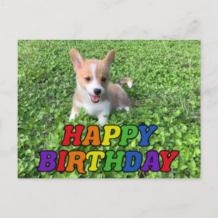Gefeliciteerd Verjaardag Schattige Corgi Puppy Fot Briefkaart
