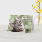 Gefeliciteerd, Veterinary Tabby Kitten Afstuderen Kaart (Gele Bloem)