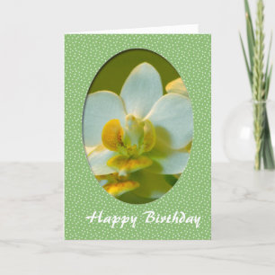 Gefeliciteerd, witte orchideeën bloemen in groene kaart