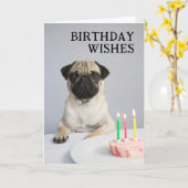 Gefeliciteerde Verjaardag Pug Kaart (Gele Bloem)