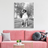 Gefleckte Deutsche Dogge Canvas Afdruk (Insitu (Woonkamer))