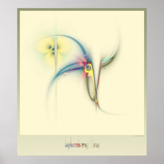 gefrituurde coquette poster (Voorkant)