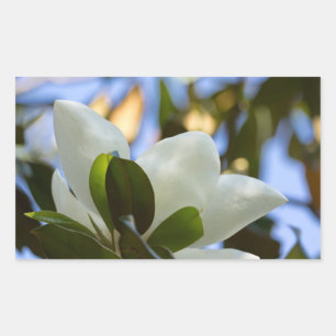 Geglazuurde Glashemel Zuidelijke Magnolia Cadeaus Rechthoekige Sticker
