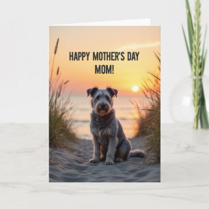 Gegolfd Zand Zonsondergang Hond Kaart